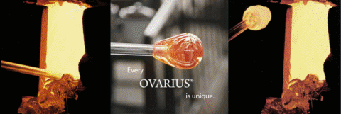 Ovarius